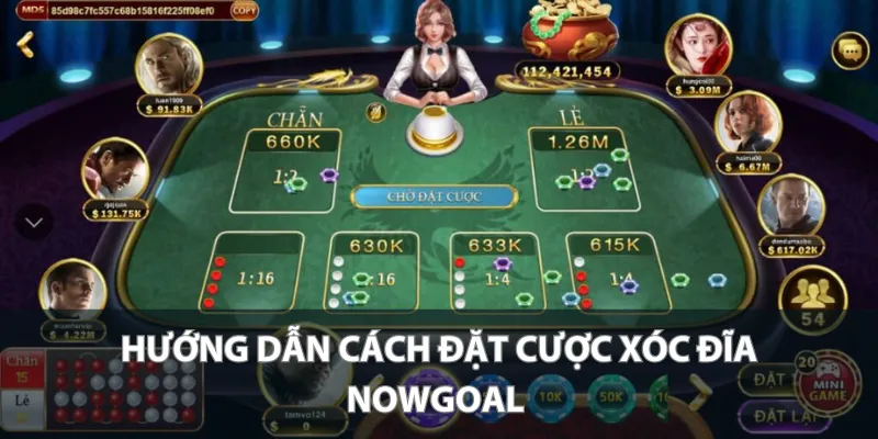 Hướng dẫn cách đặt cược xóc đĩa Nowgoal